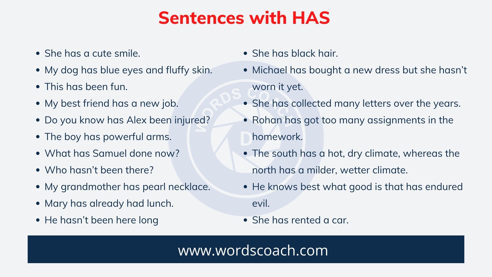 50 Sentences With HAS Word Coach