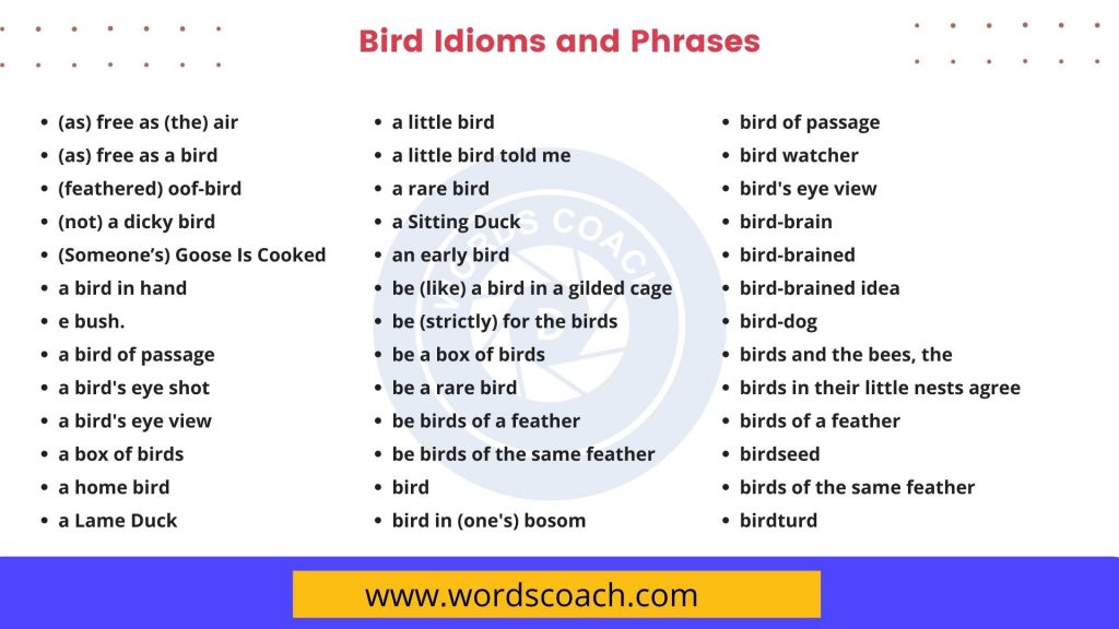 Bird Idioms and Phrases - wordscoach.com