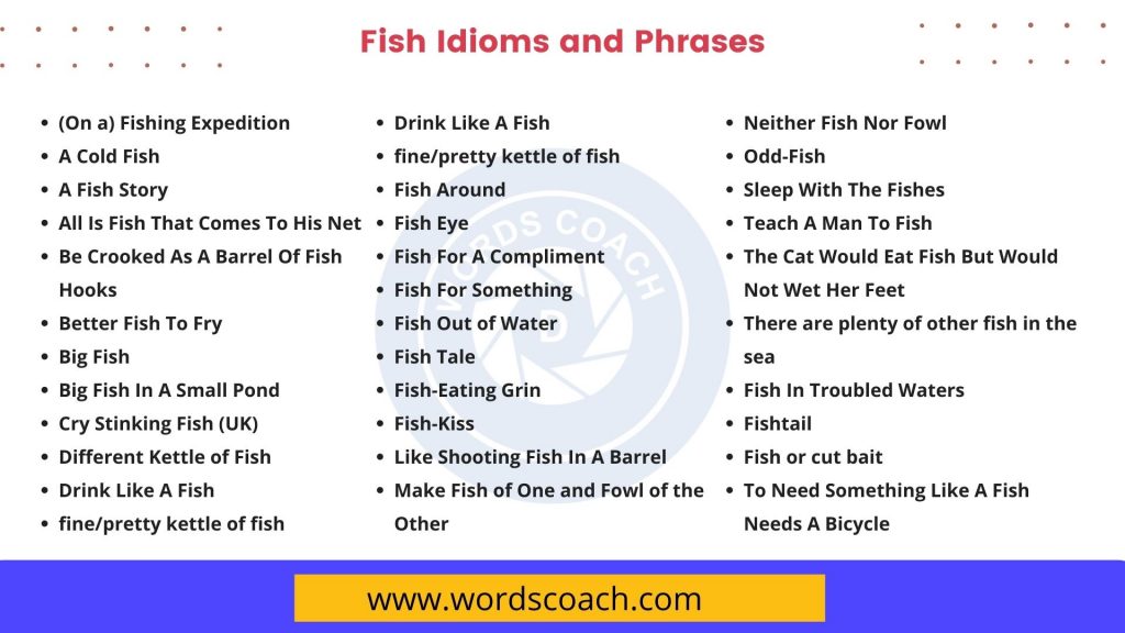 fish-idioms-and-phrases-word-coach