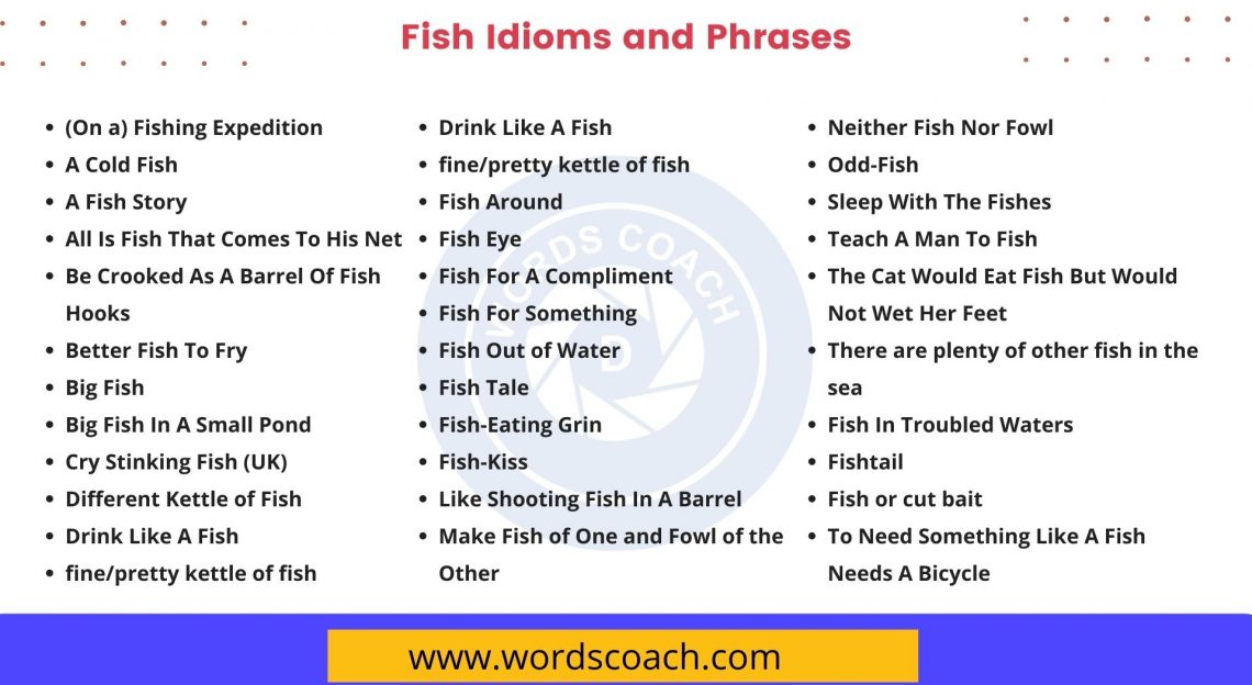 fish-idioms-and-phrases-word-coach