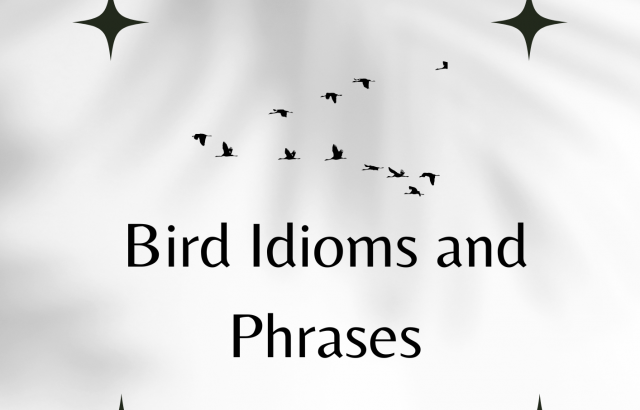 Bird Idioms and Phrases - wordscoach.com