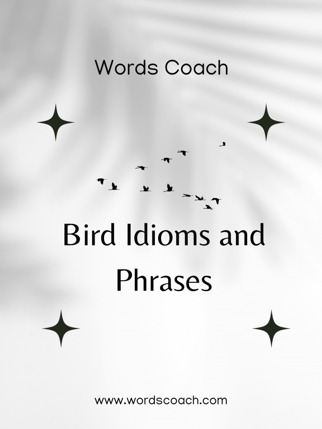 Bird Idioms and Phrases