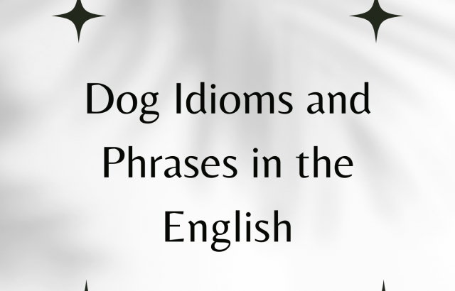 Dog Idioms and Phrases in the English