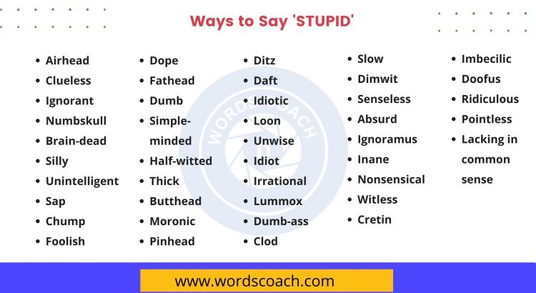 40 Ways To Say STUPID In English Word Coach