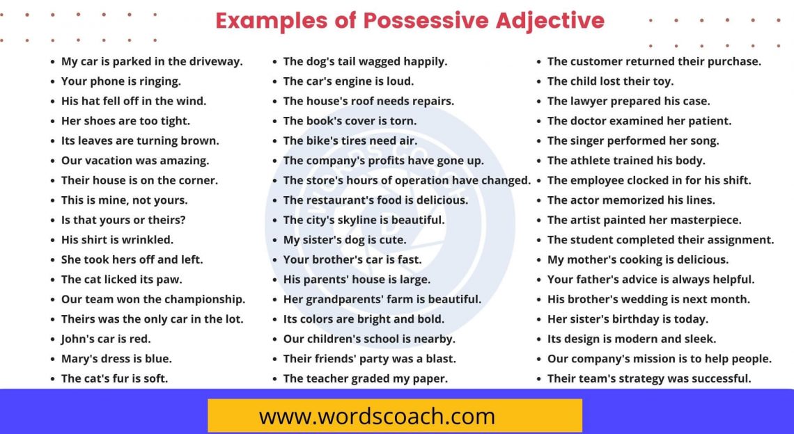 100+ Examples of Possessive Adjective - Word Coach