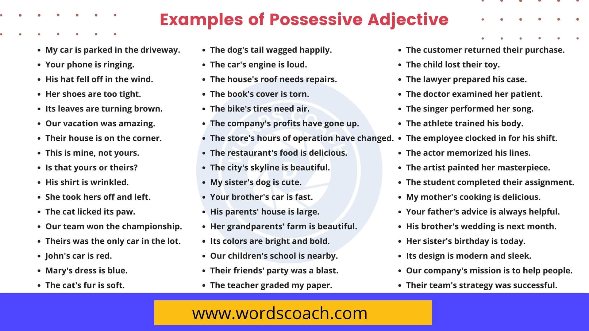 100 Examples Of Possessive Adjective Word Coach