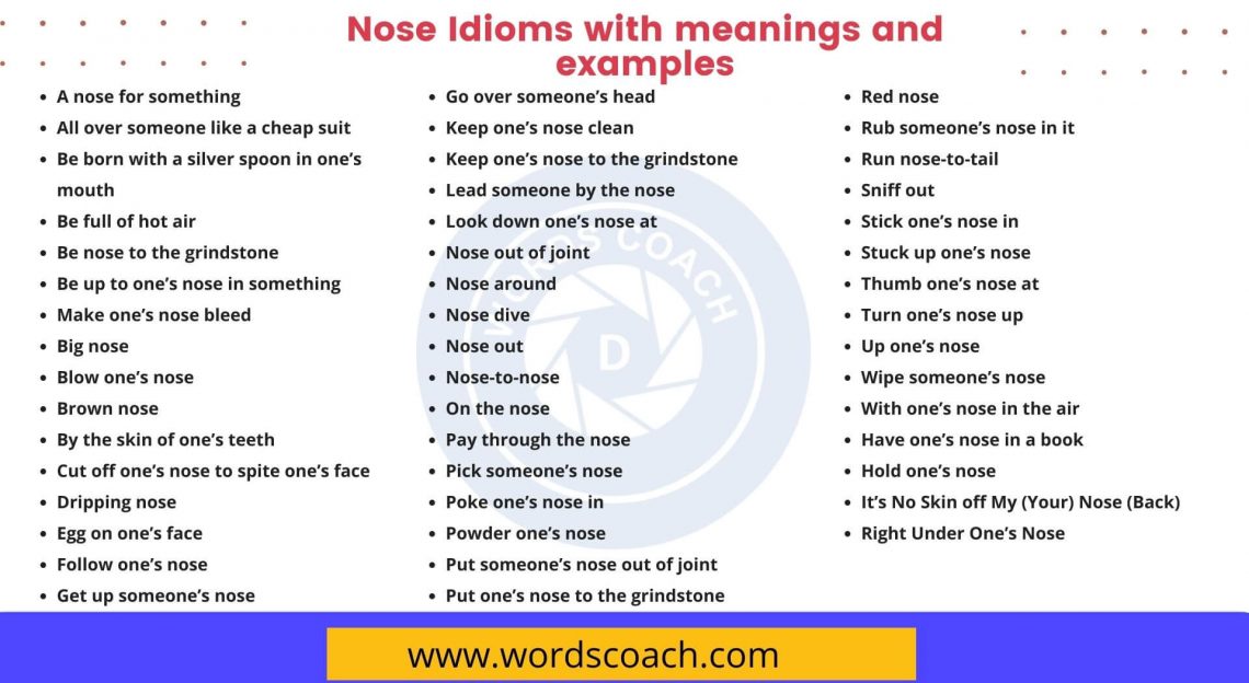 50-nose-idioms-with-meanings-and-examples-word-coach