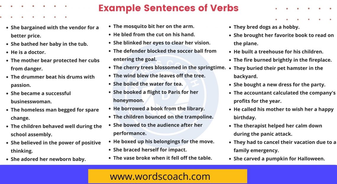 50 Example Sentences of Verbs - Word Coach