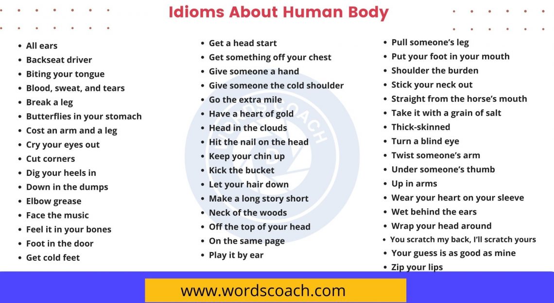 Human body metaphors Archives - Word Coach