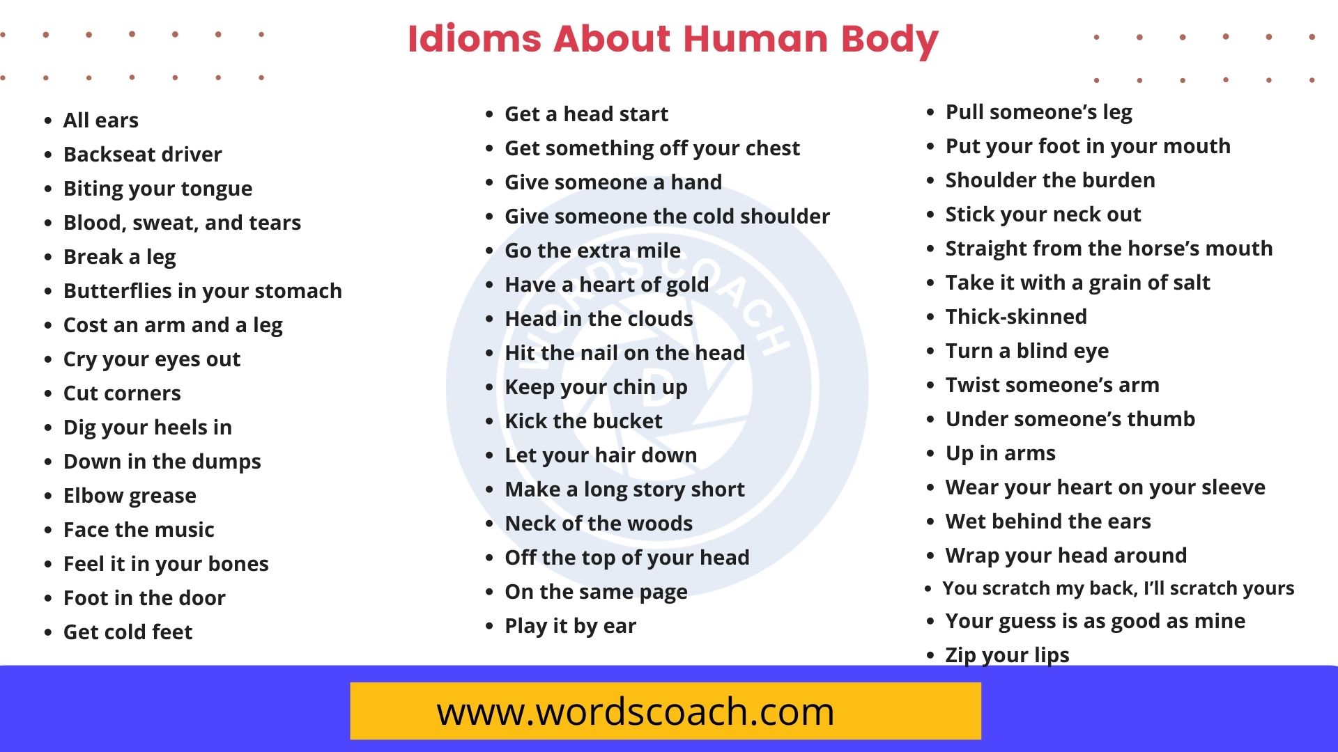 50 Idioms About Human Body Word Coach